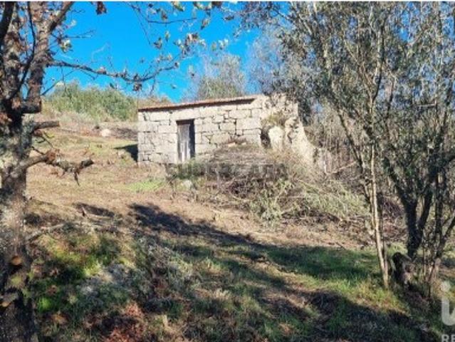 Terreno Agrícola em Juncais, Vila Ruiva e Vila Soeiro do Chão