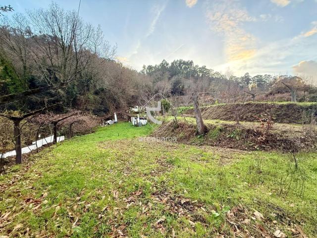 Terreno Agrícola em Jolda Madalena Arcos de Valdevez