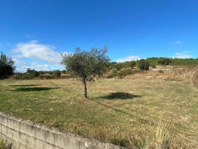 Terreno Agrícola em Palvarinho