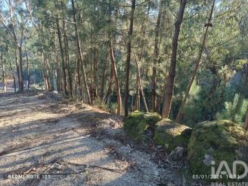 Terreno Agrícola em Paredes de Viadores e Manhuncelos