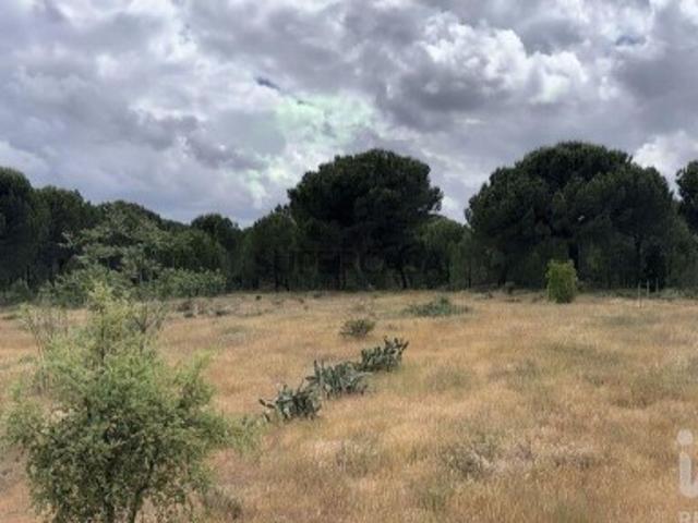 Terreno Agrícola em Pegões
