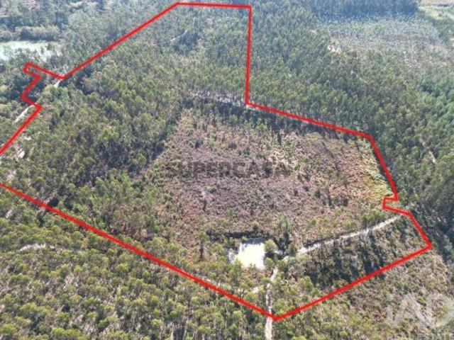 Terreno Agrícola em Pedreiras