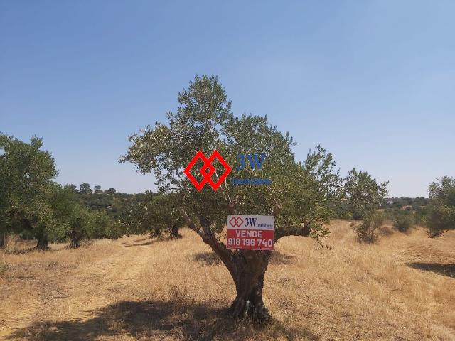 Terreno agrícola em Pedrógão