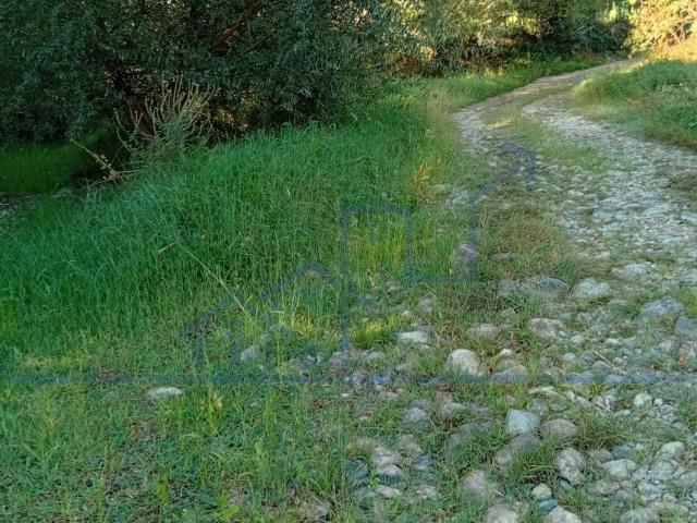 Terreno Agrícola em Pleno Vale da Vilariça Junto á Ribeira Torre de Moncorvo