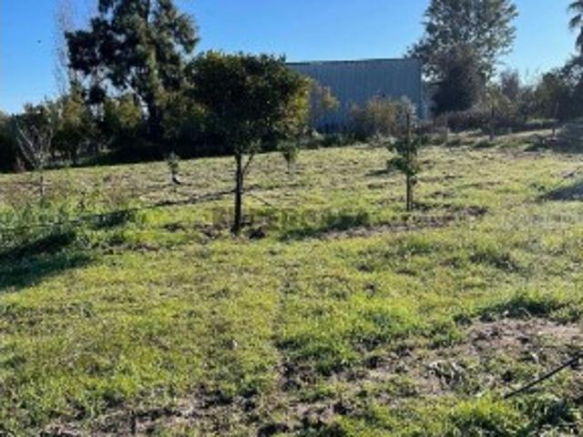 Terreno Agrícola em Poceirão e Marateca