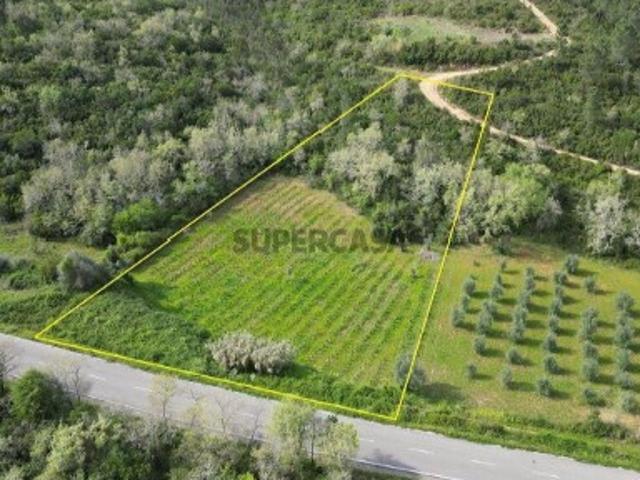 Terreno Agrícola em Podentes