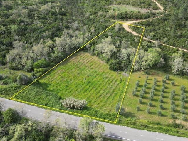 Terreno Agrícola em Podentes