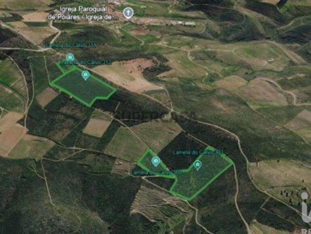 Terreno Agrícola em Poiares