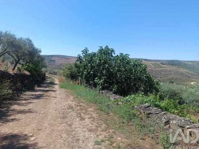 Terreno Agrícola em Poiares de 1900,00 m²