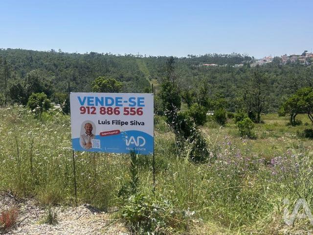 Terreno Agrícola em Pombal