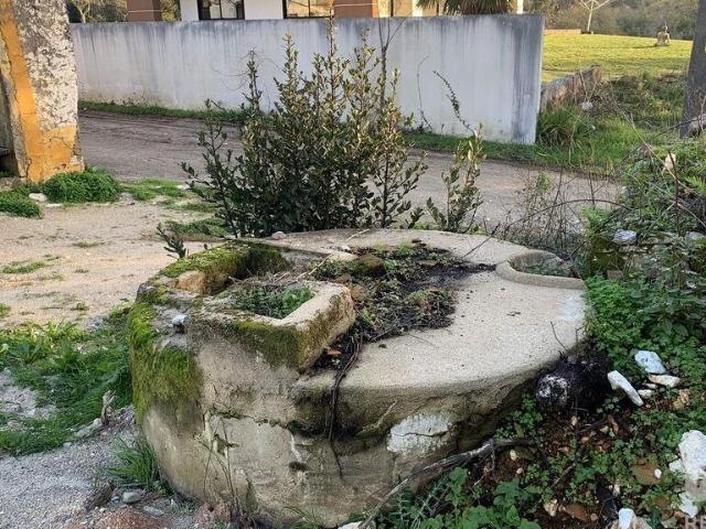 Terreno Agrícola em Pombal