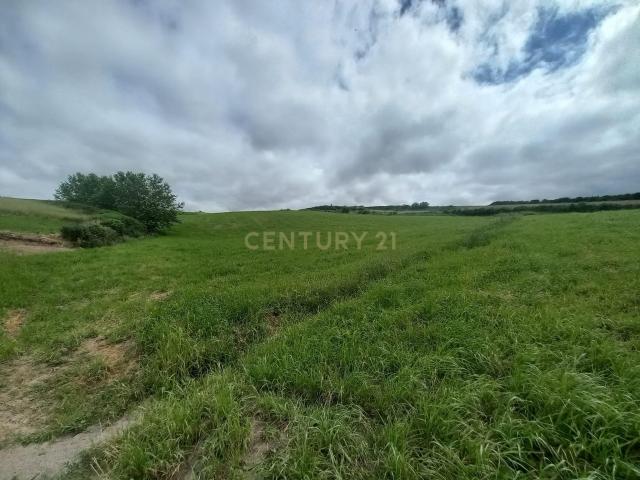 Terreno Agrícola em Ponta Garça, Vila Franca do Campo