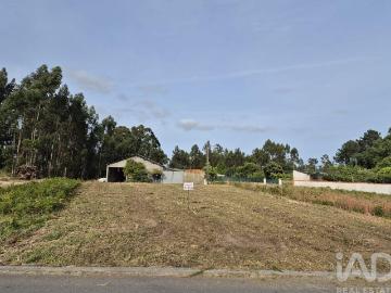 Terreno Agrícola em Ponte de Vagos e Santa Catarina
