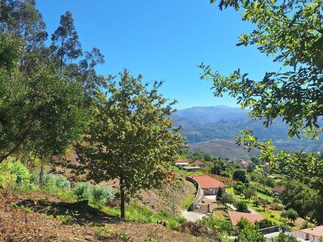 Terreno Agrícola em Portela e Extremo