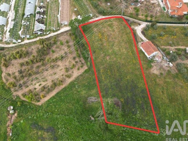 Terreno Agrícola em Porto de Mós São João Baptista e São Pedro