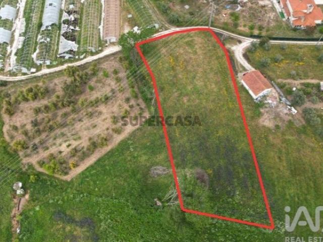 Terreno Agrícola em Porto de Mós São João Baptista e São Pedro