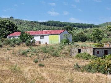 Terreno Agrícola em Prados