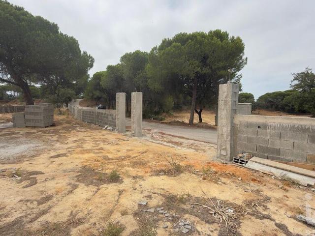 Terreno Agrícola em Quarteira