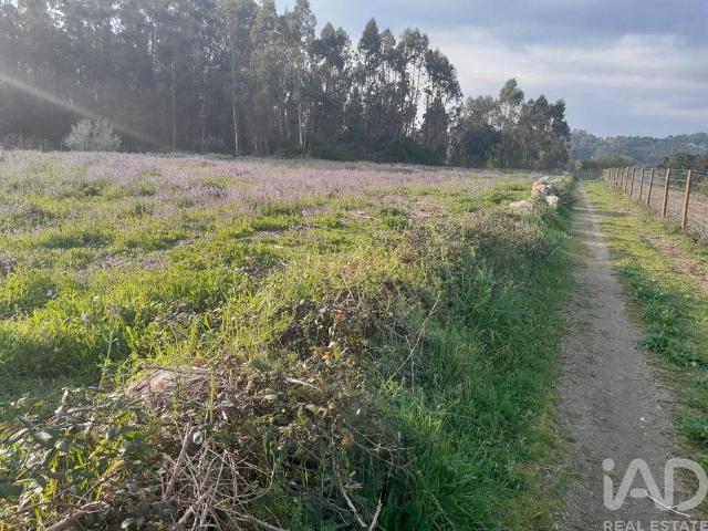 Terreno Agrícola em Requião