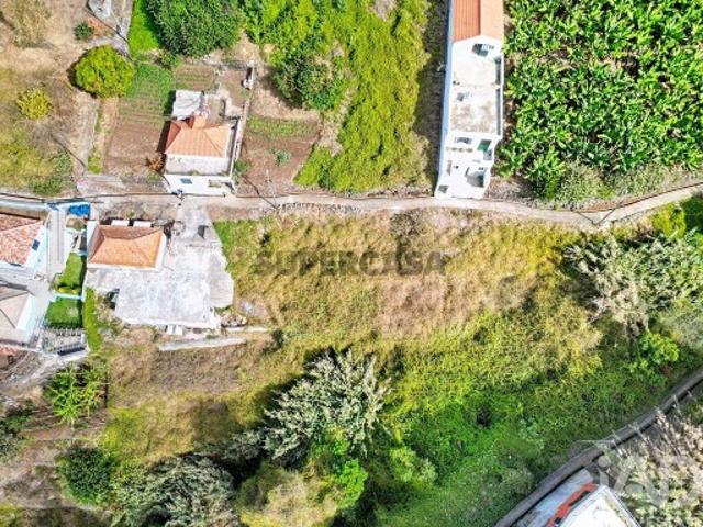 Terreno Agrícola em Ribeira Brava