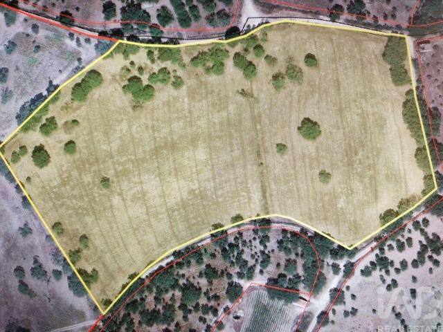 Terreno Agrícola em Ribeira de Nisa e Carreiras