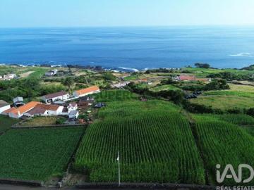 Terreno Agrícola em Ribeiras