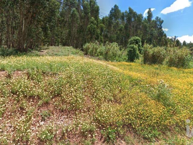 Terreno Agrícola em Rio Maior