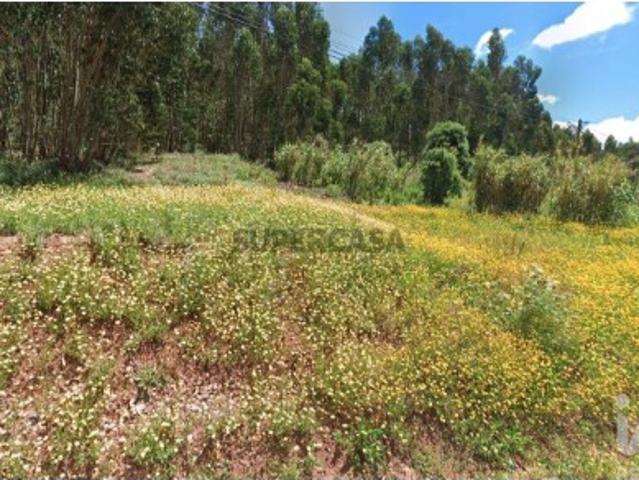 Terreno Agrícola em Rio Maior
