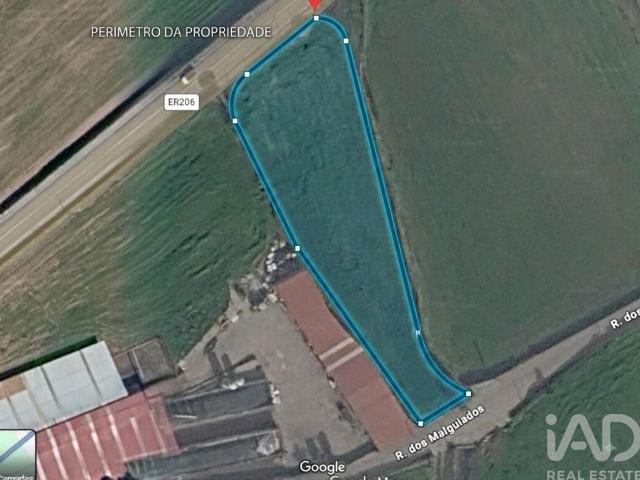 Terreno Agrícola em Rio Mau e Arcos