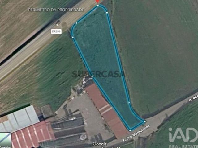 Terreno Agrícola em Rio Mau e Arcos