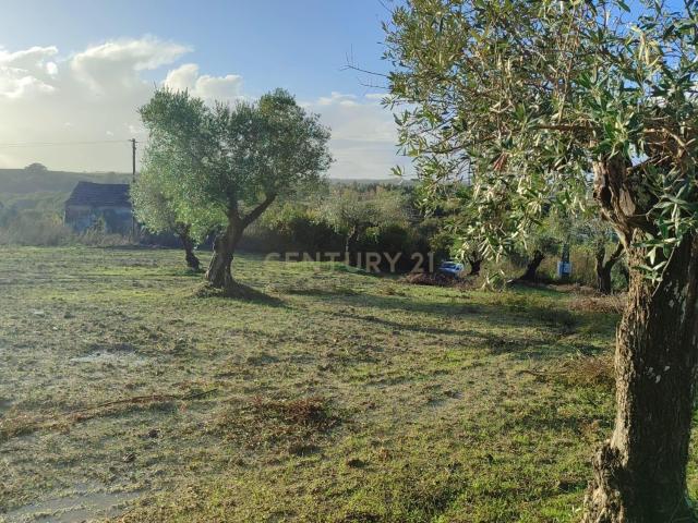 Terreno Agrícola em São Vicente do Paul, Santarém 7080m²