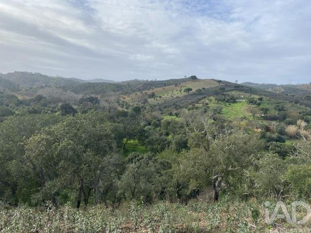 Terreno Agrícola em São Brás de Alportel