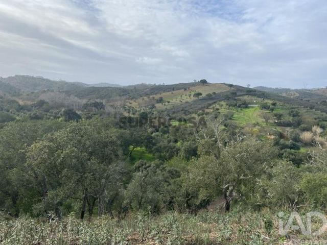 Terreno Agrícola em São Brás de Alportel