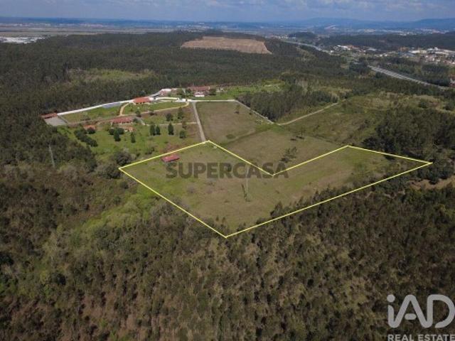 Terreno Agrícola em São Martinho do Bispo e Ribeira de Frades