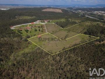 Terreno Agrícola em São Martinho do Bispo e Ribeira de Frades