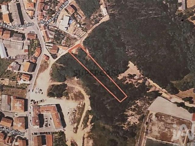 Terreno Agrícola em São Martinho do Bispo e Ribeira de Frades