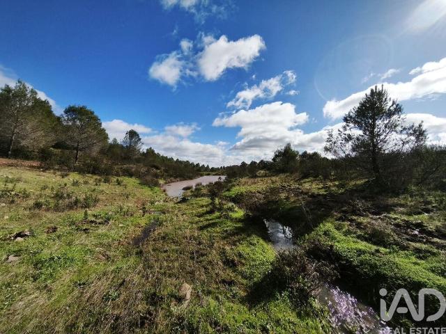 Terreno Agrícola em São Miguel do Pinheiro, São Pedro de Solis e São Sebastião dos Carros