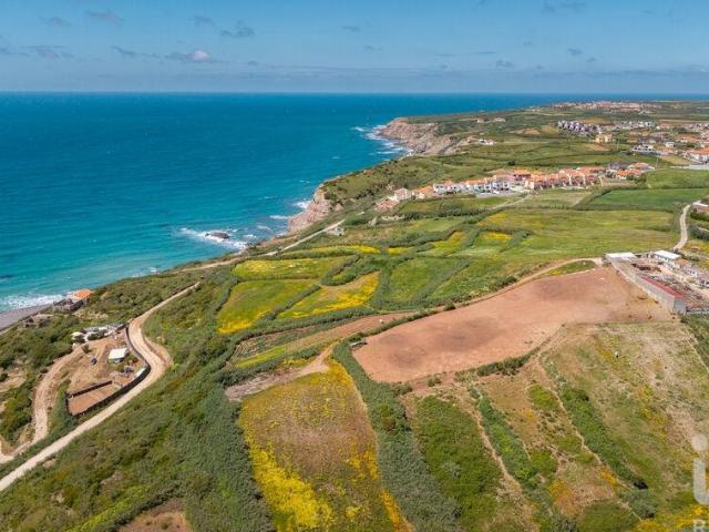 Terreno Agrícola em São Pedro da Cadeira