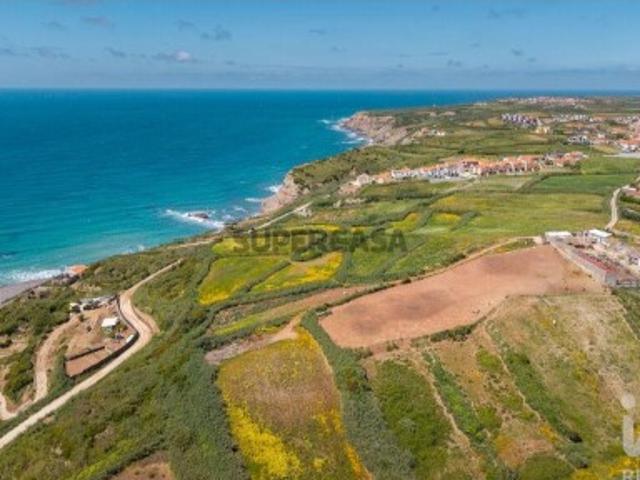 Terreno Agrícola em São Pedro da Cadeira