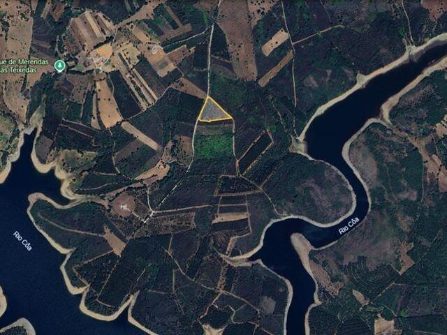 Terreno Agrícola em Sabugal e Aldeia de Santo António