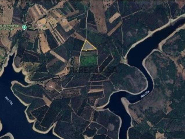 Terreno Agrícola em Sabugal e Aldeia de Santo António