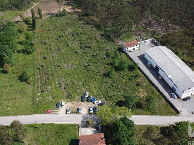 Terreno Agrícola em Sangalhos