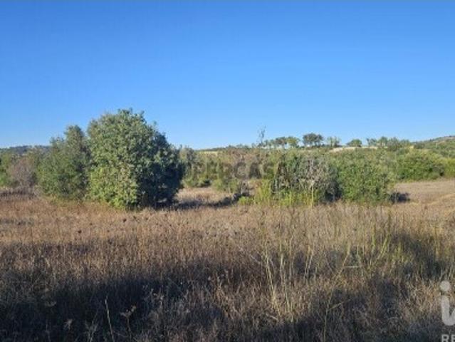 Terreno Agrícola em Santa Bárbara de Nexe