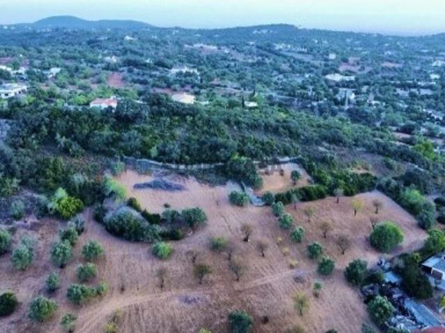 Terreno Agrícola em Santa Bárbara de Nexe de 14400,00 m²