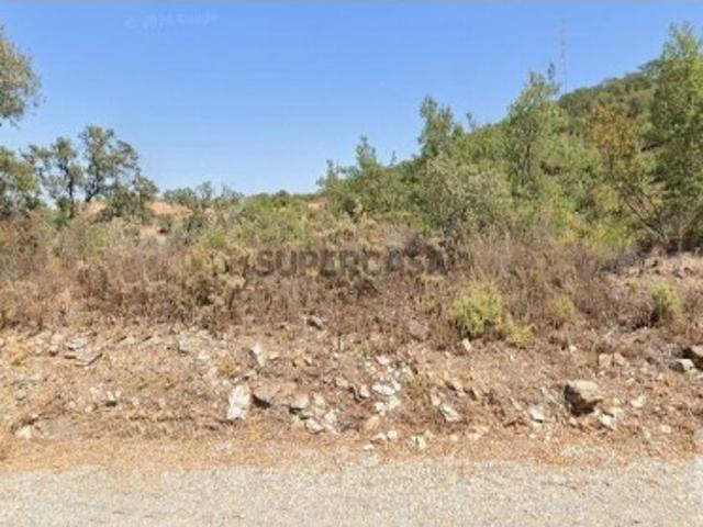 Terreno Agrícola em Santa Catarina da Fonte do Bispo