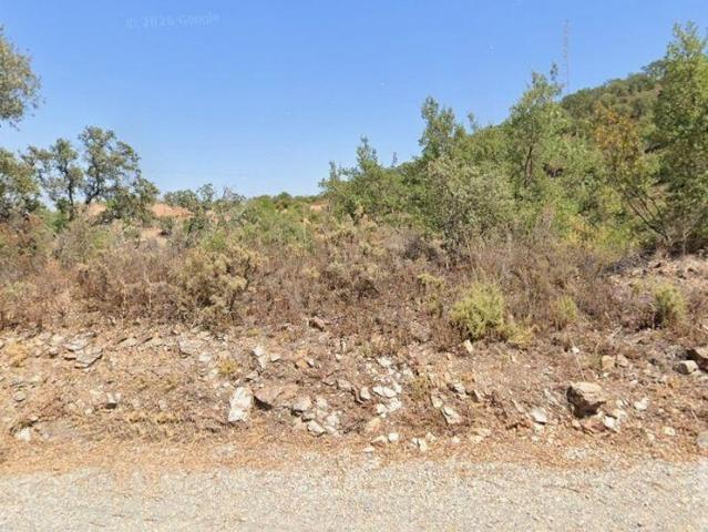 Terreno Agrícola em Santa Catarina da Fonte do Bispo