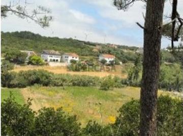 Terreno Agrícola em Santo Isidoro