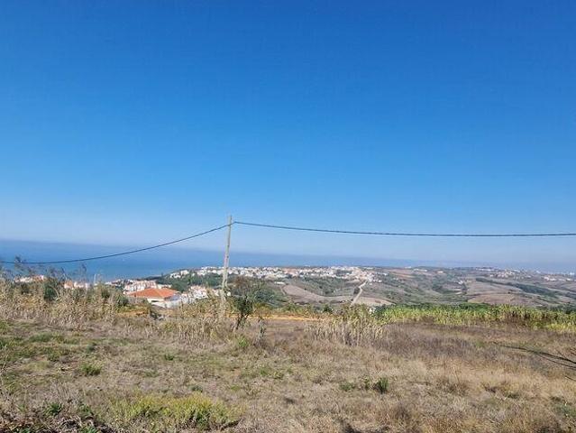 Terreno Agrícola em Santo Isidoro