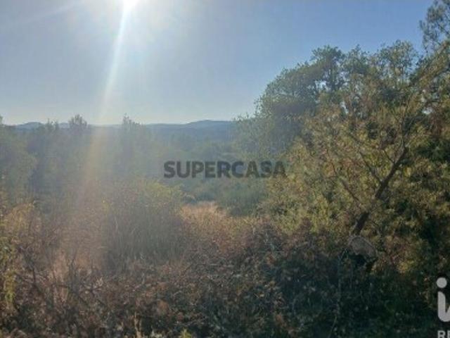 Terreno Agrícola em Sarzedas