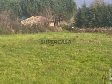 Terreno Agrícola em Seixo da Beira